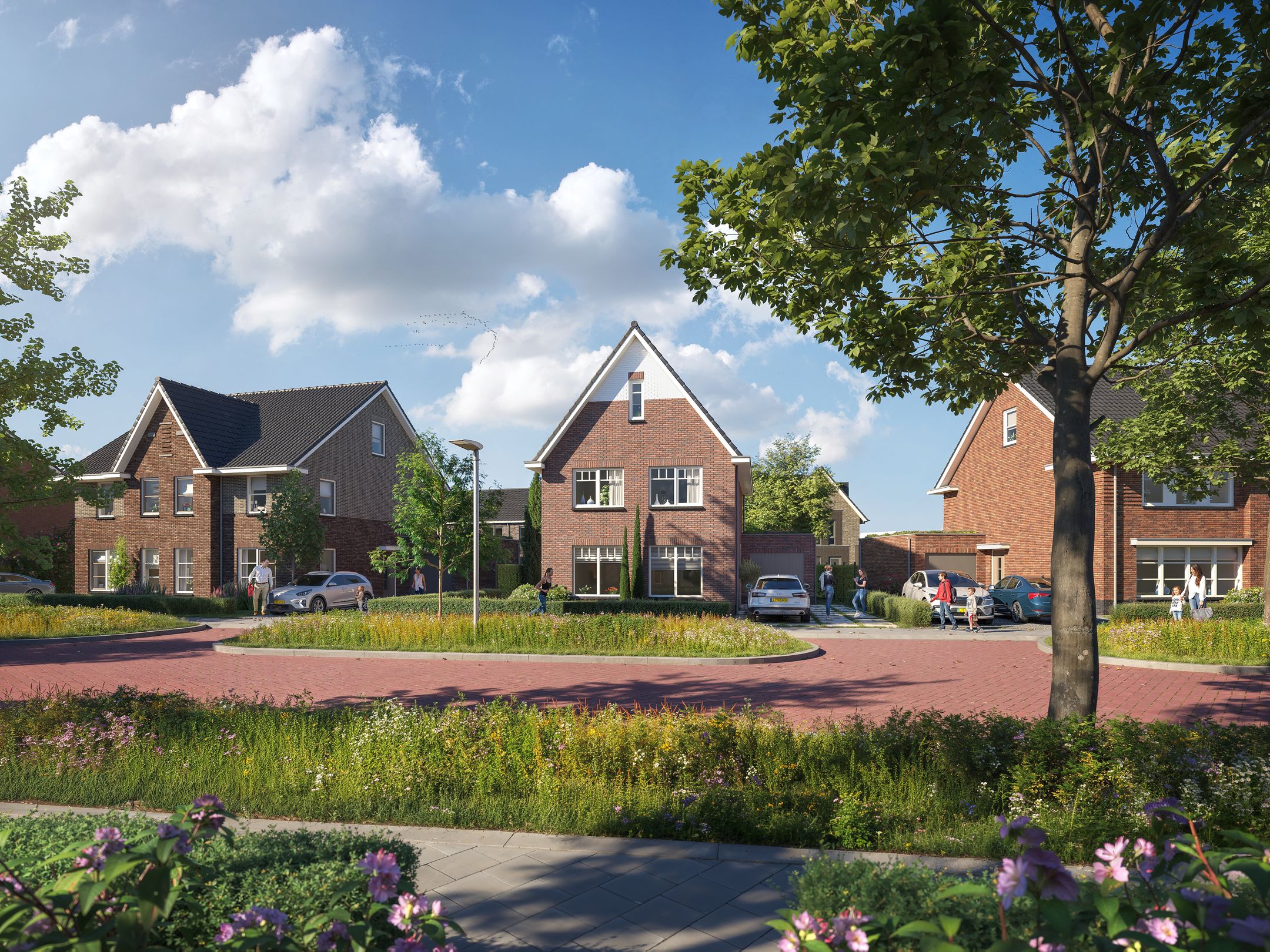 Foto 4 van In de Luwte Fase 4