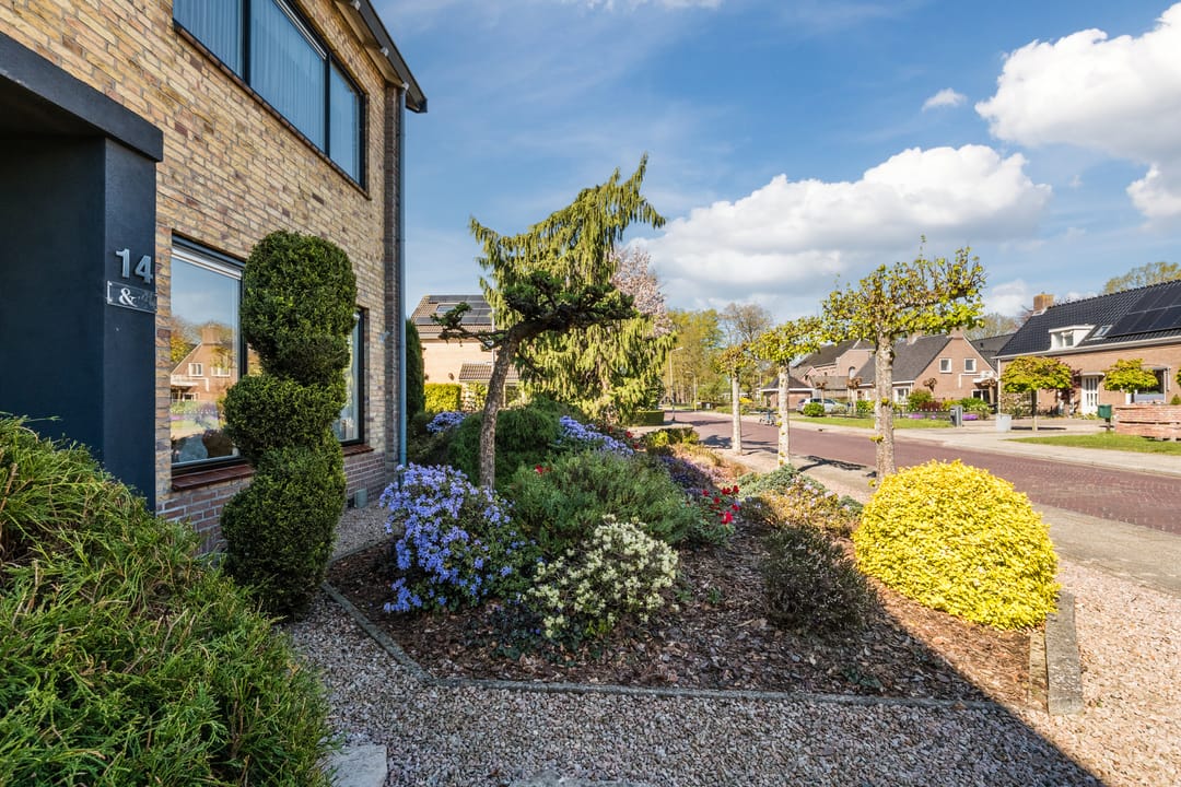 Foto 8 van Rechtuit 14