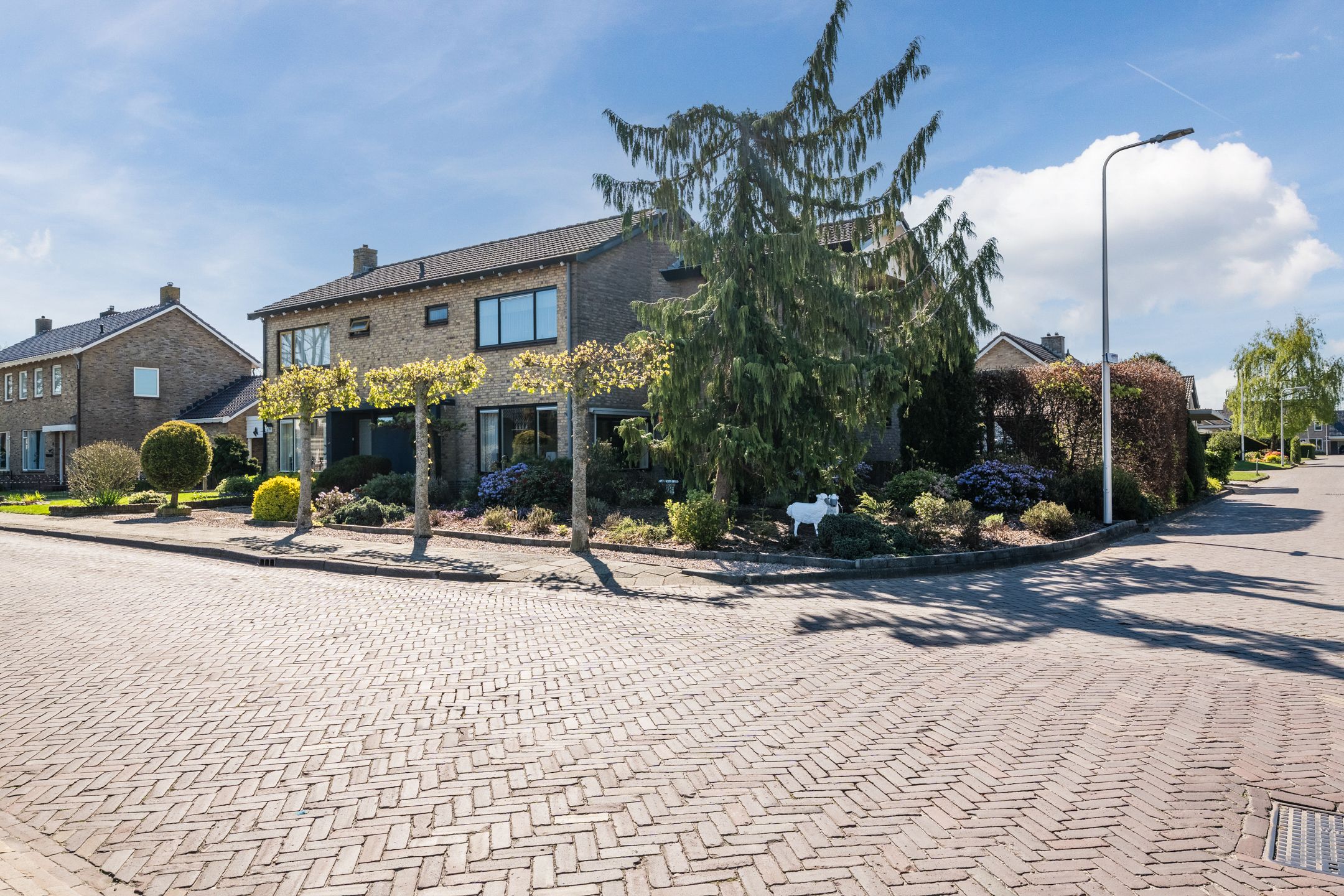 Foto 6 van Rechtuit 14