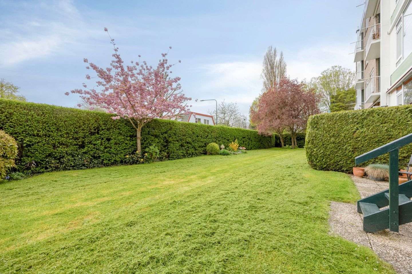 Foto 5 van Burmanlaan 34