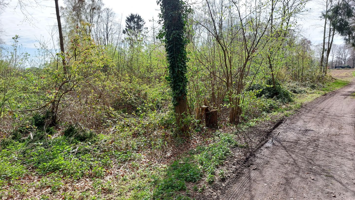 Vanenakkerveldweg - Lottum - Afbeelding 6