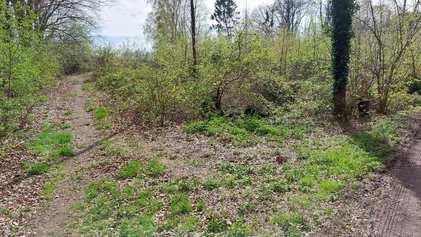 Vanenakkerveldweg - Lottum - Afbeelding 7