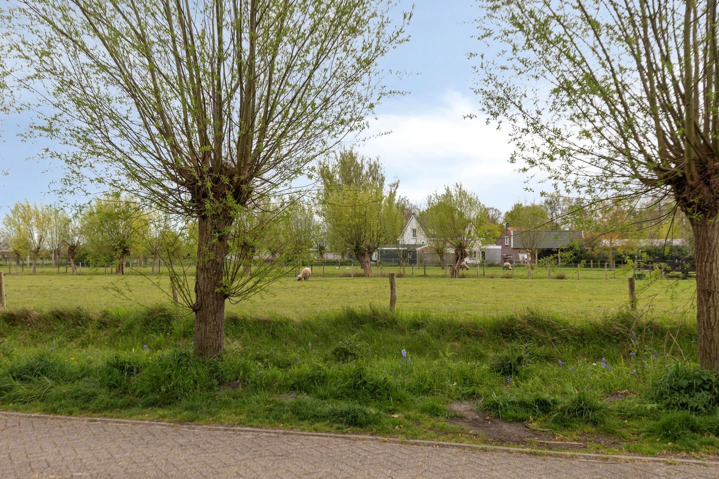 Foto 4 van Omloopsweg 7