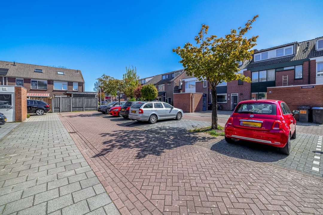 Foto 41 van Voorvisser 8