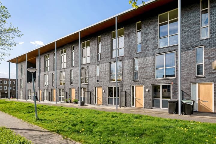 Gangboord 4 main image