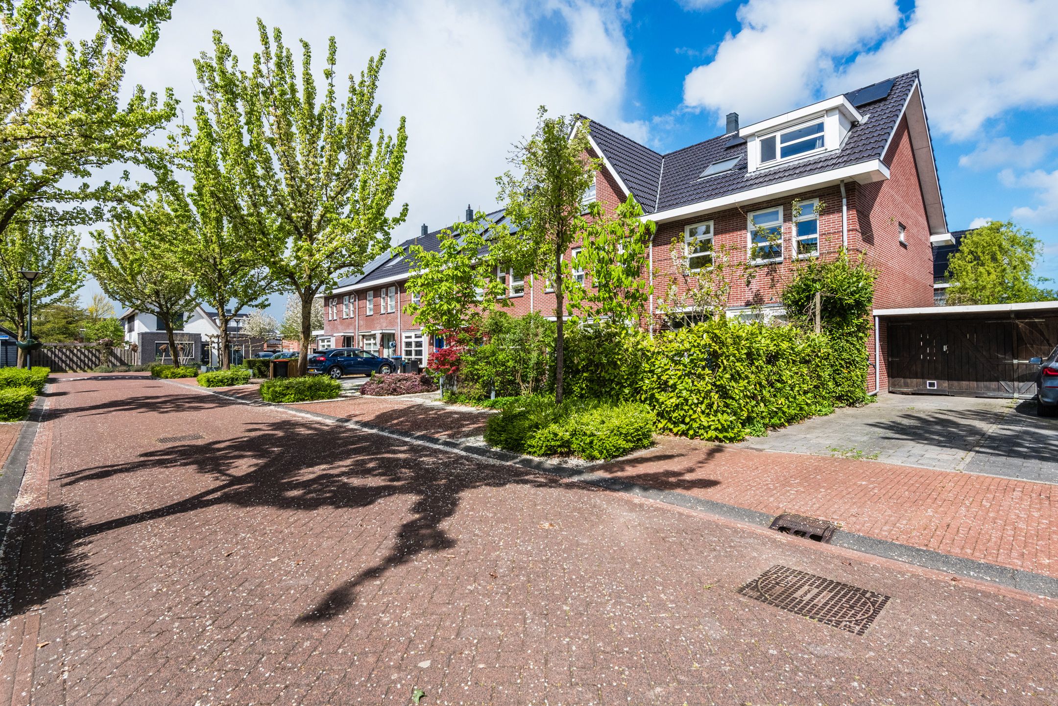 Foto 6 van Galjoen 11 39