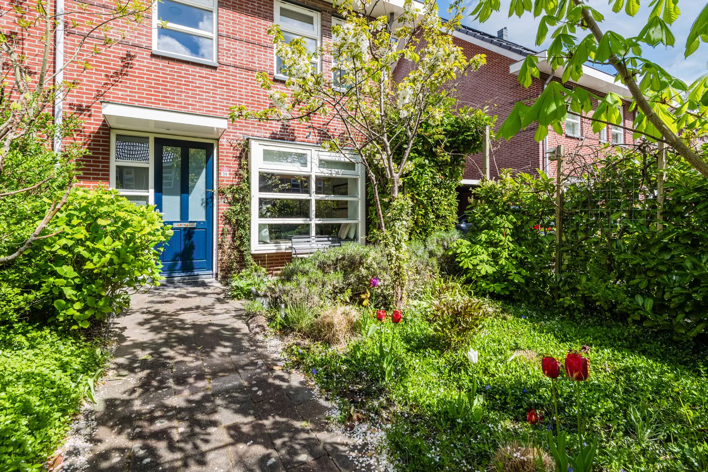 Foto 55 van Galjoen 11 39