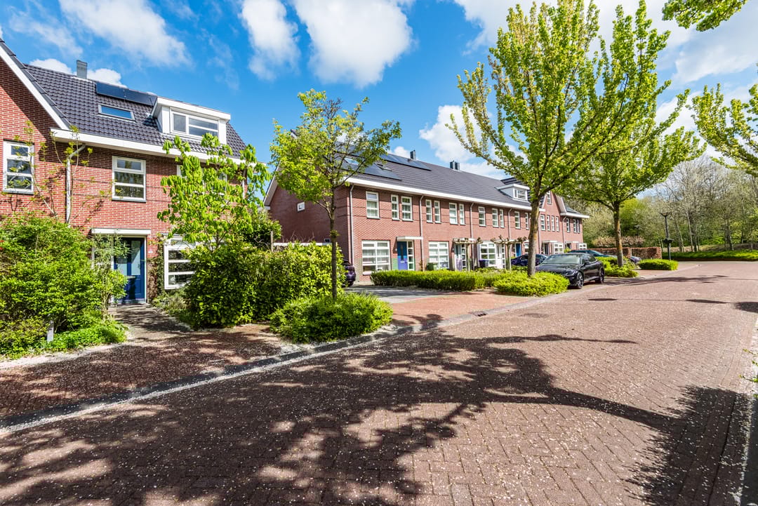 Foto 7 van Galjoen 11 39