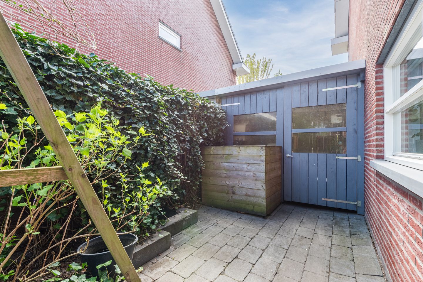 Foto 50 van Galjoen 11 39