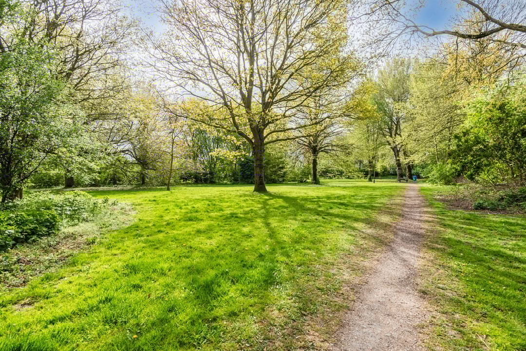 Foto 58 van Galjoen 11 39