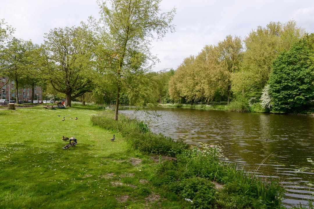 Foto 16 van Beemsterstraat 362