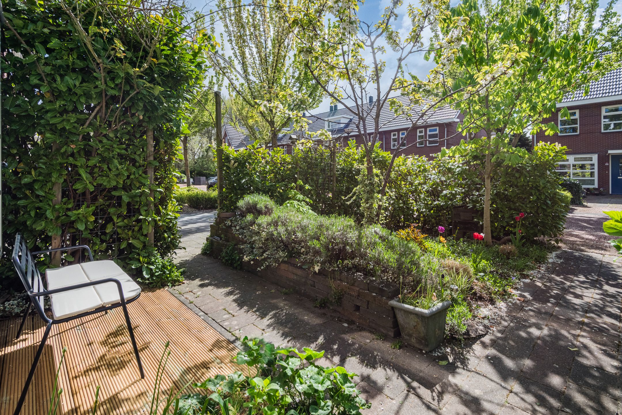 Foto 54 van Galjoen 11 39