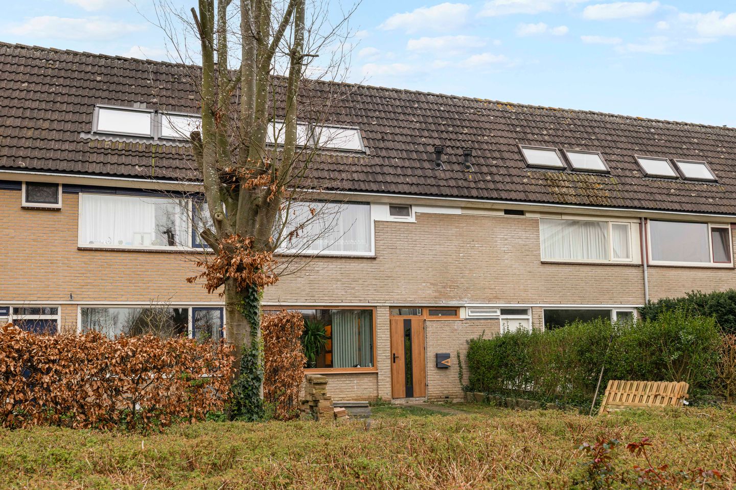 Foto 40 van Ganzebloem 21