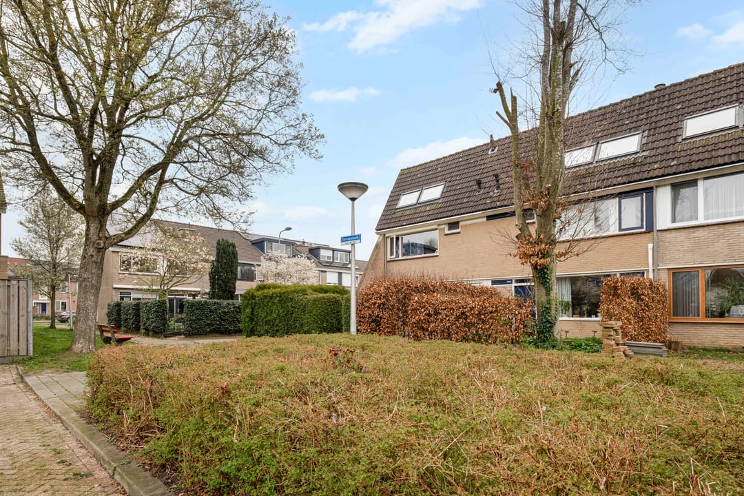 Foto 41 van Ganzebloem 21