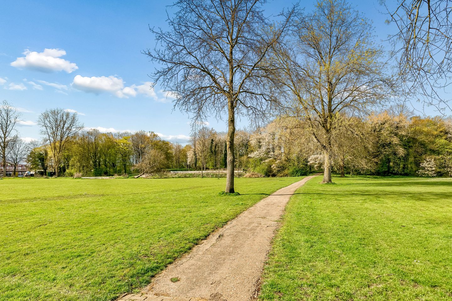 Foto 25 van Wold 24 39