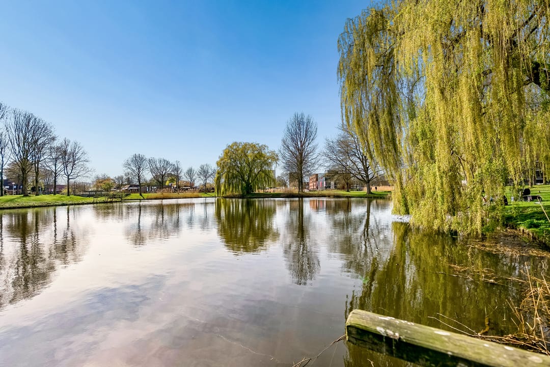 Foto 26 van Wold 24 39