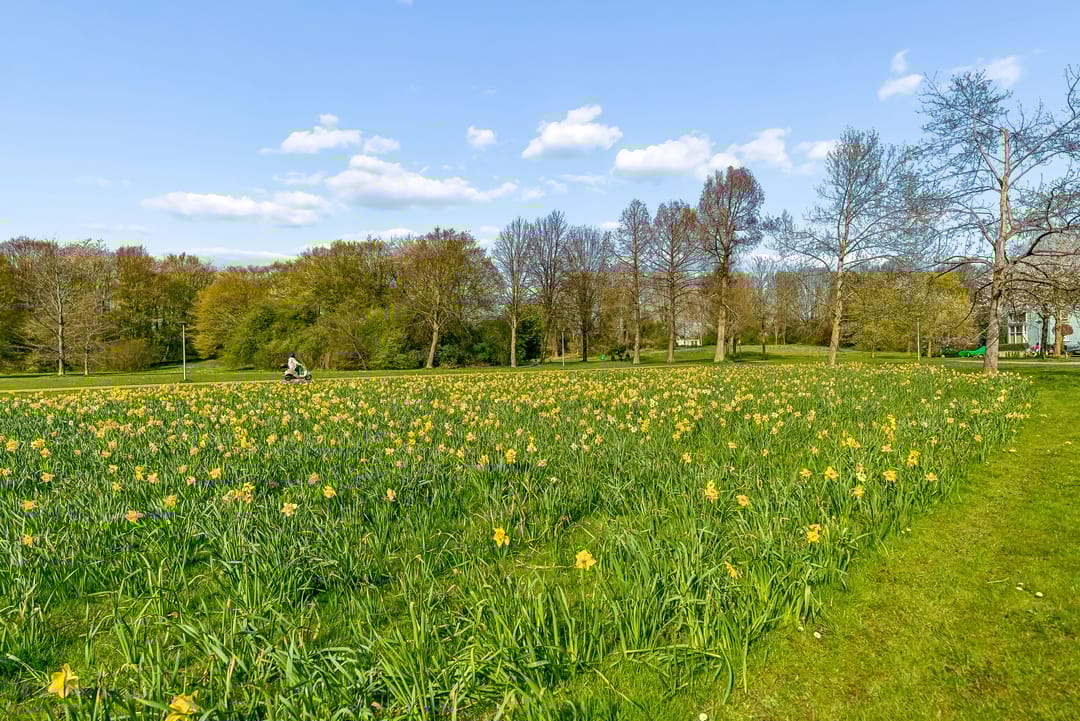 Foto 23 van Wold 24 39