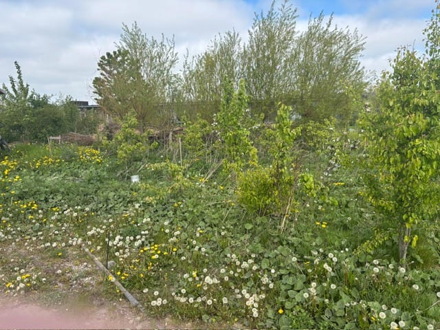 Photo 5 of David Humeweg 49