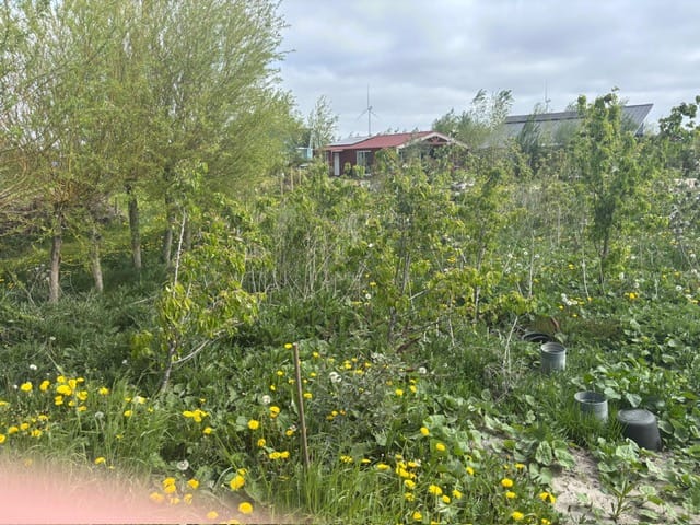 Photo 6 of David Humeweg 49