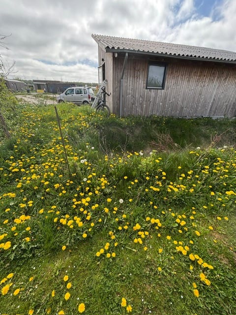 Photo 13 of David Humeweg 49