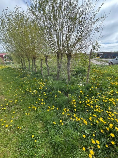 Photo 14 of David Humeweg 49