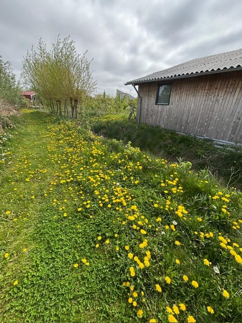 Photo 12 of David Humeweg 49