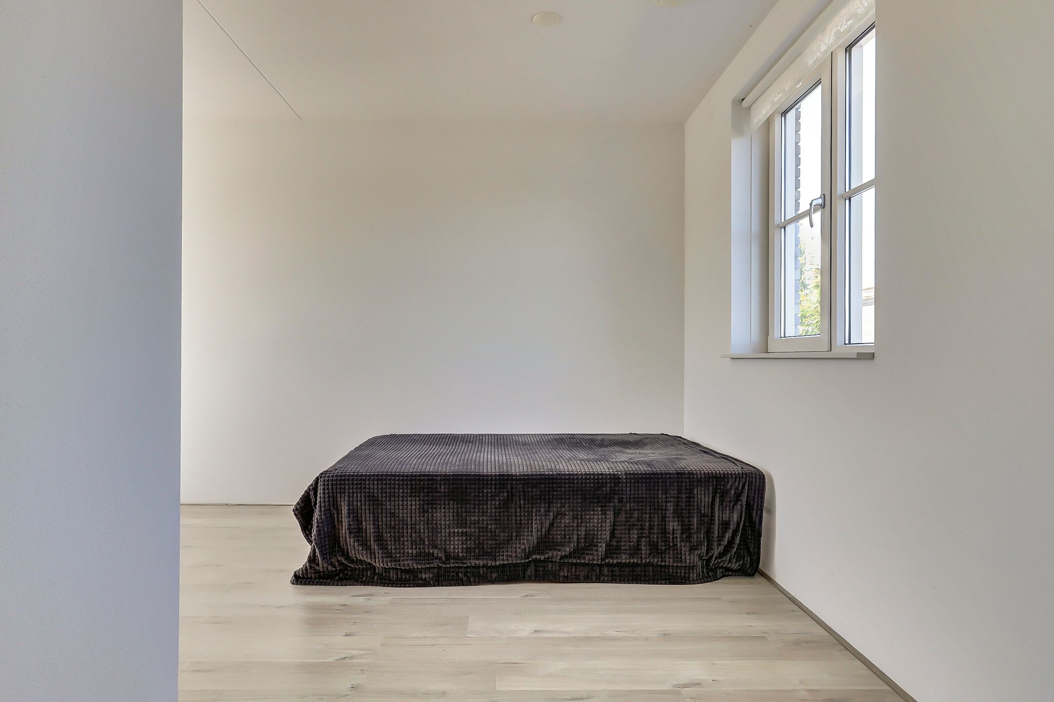 Photo 18 of Soetelaer 20