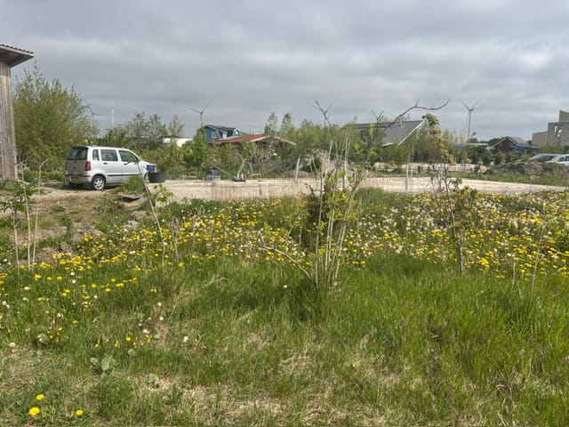 Photo 3 of David Humeweg 49