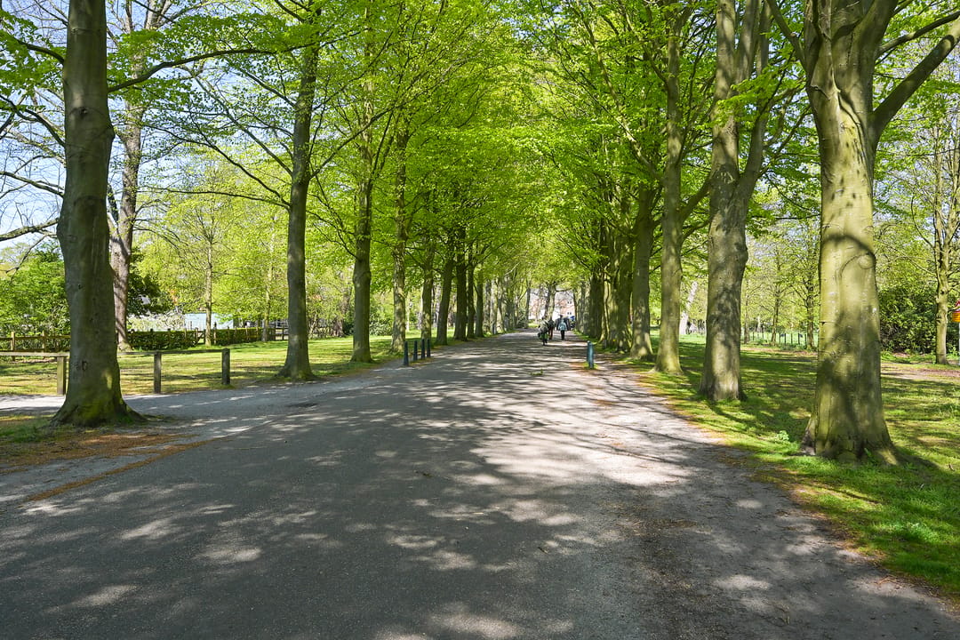 Foto 47 van Pieter Meinersstraat 90