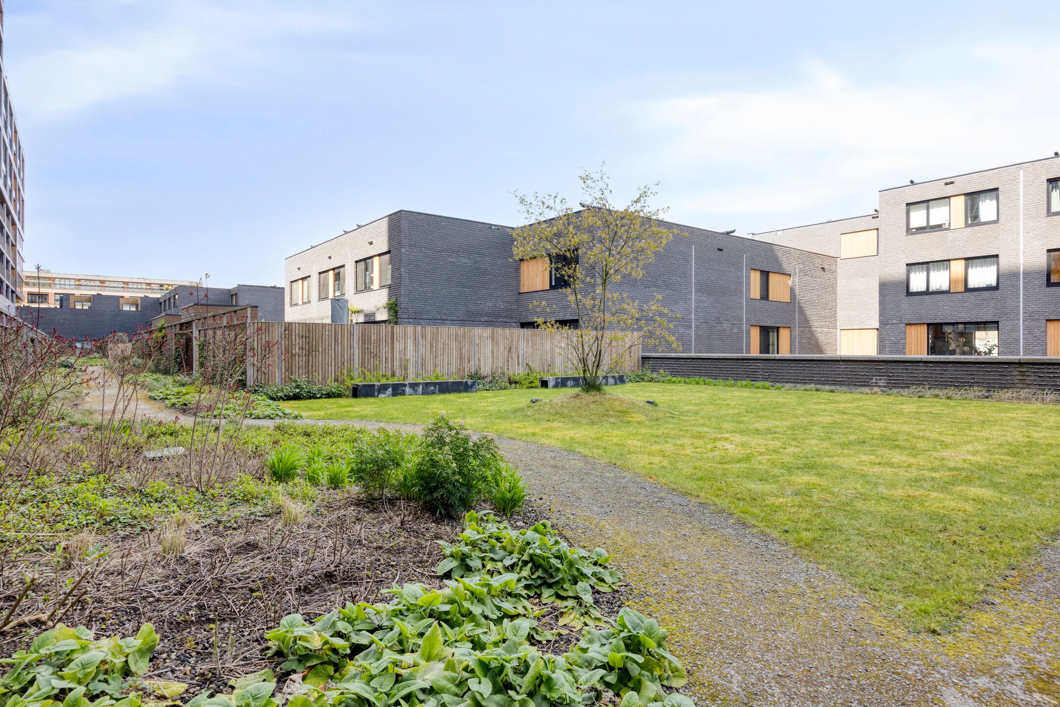 Foto 21 van Maashaven N.z. 623