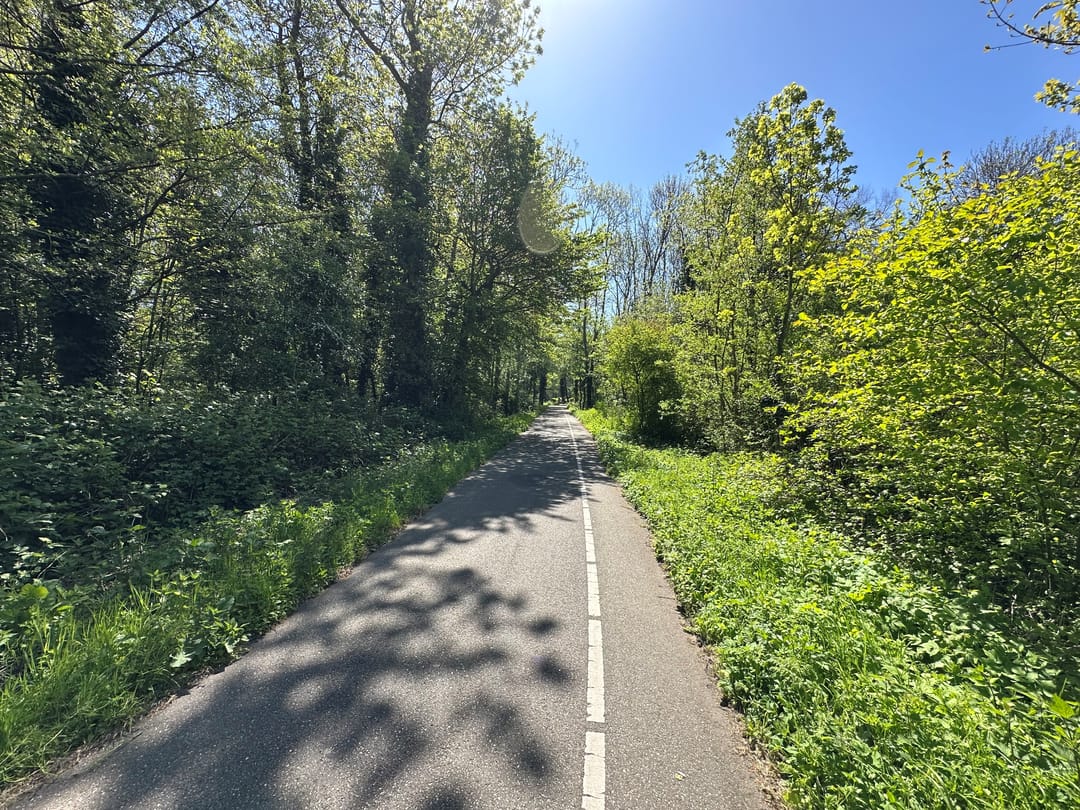 Foto 38 van Remmersteinstraat 149