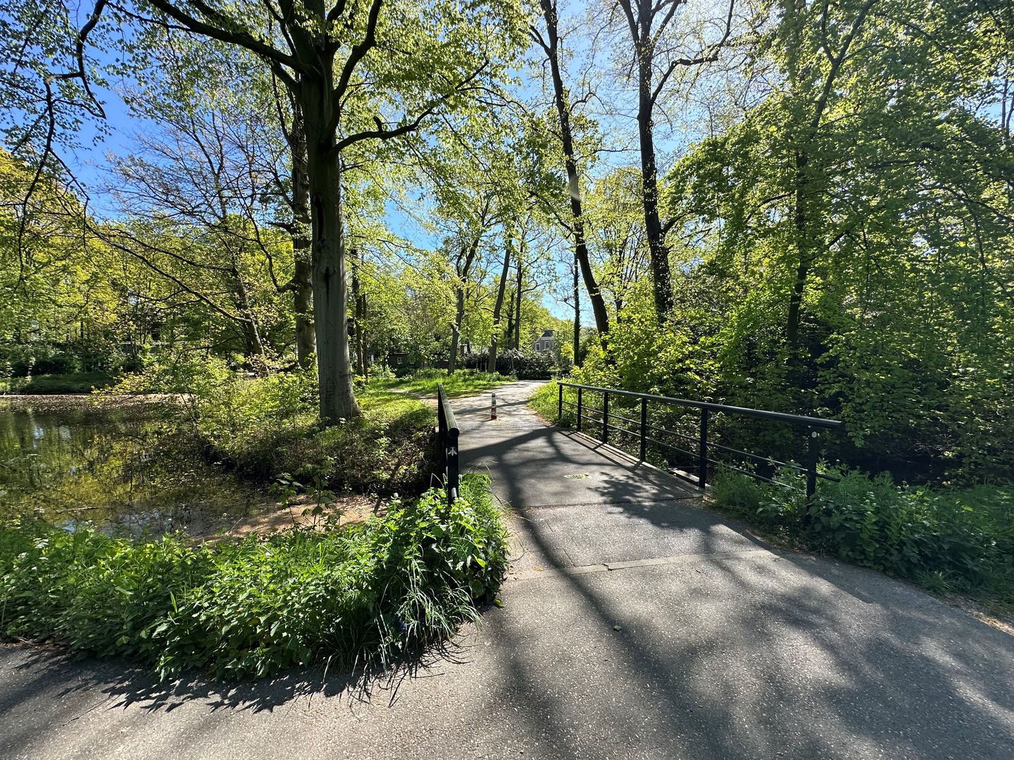 Foto 40 van Remmersteinstraat 149