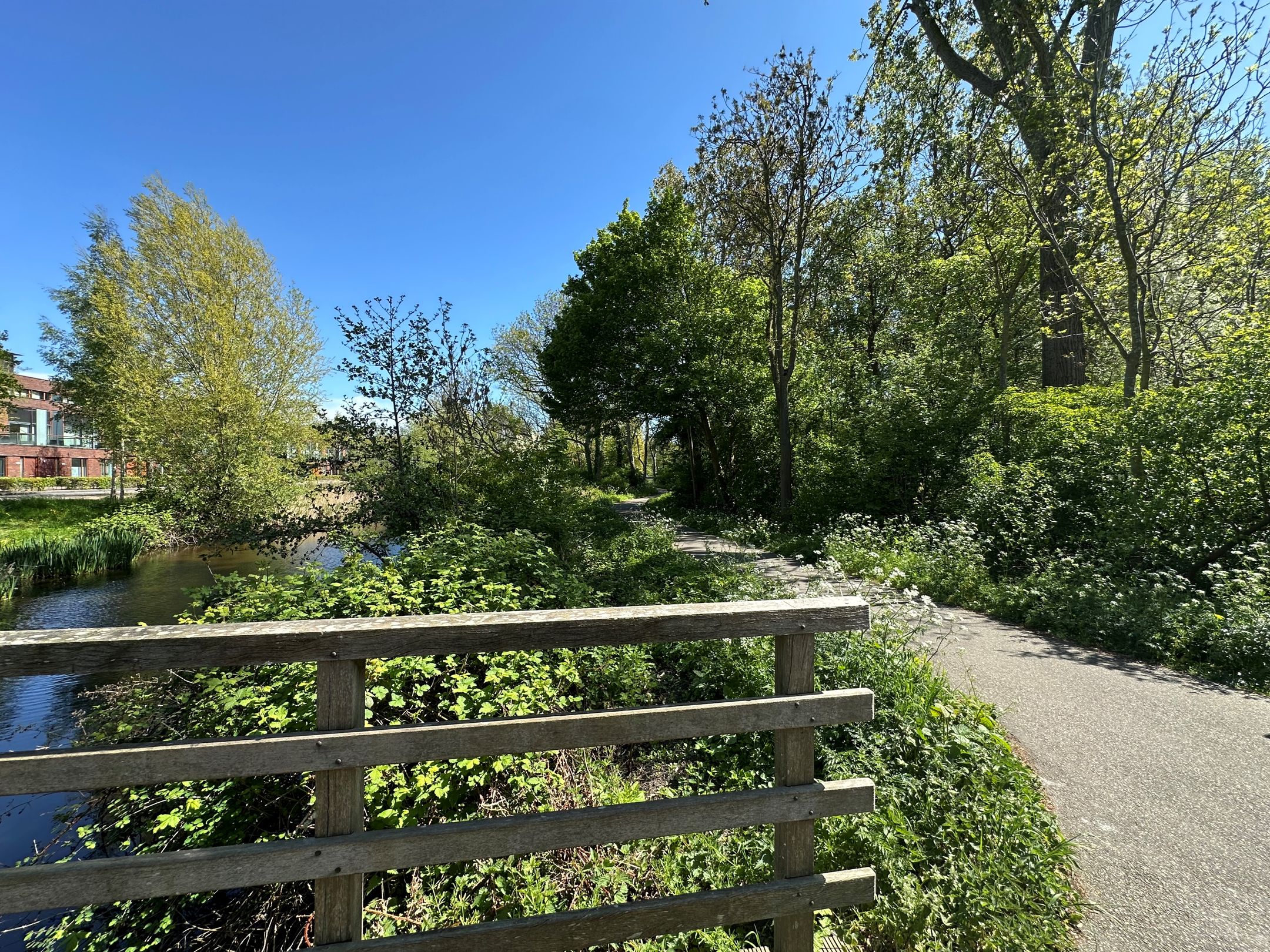 Foto 36 van Remmersteinstraat 149