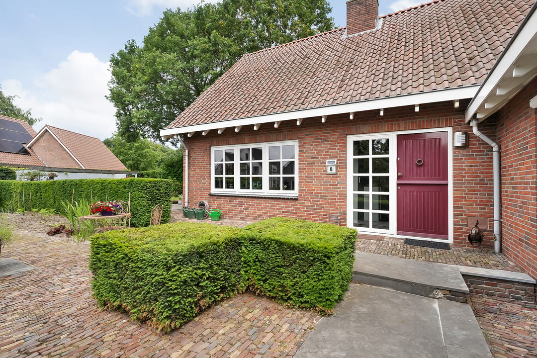 Photo 7 of De Omloop 8