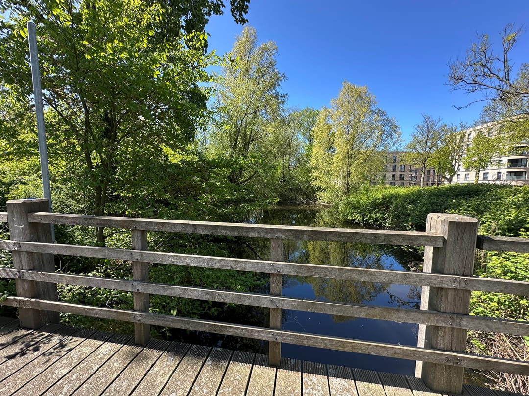 Foto 37 van Remmersteinstraat 149