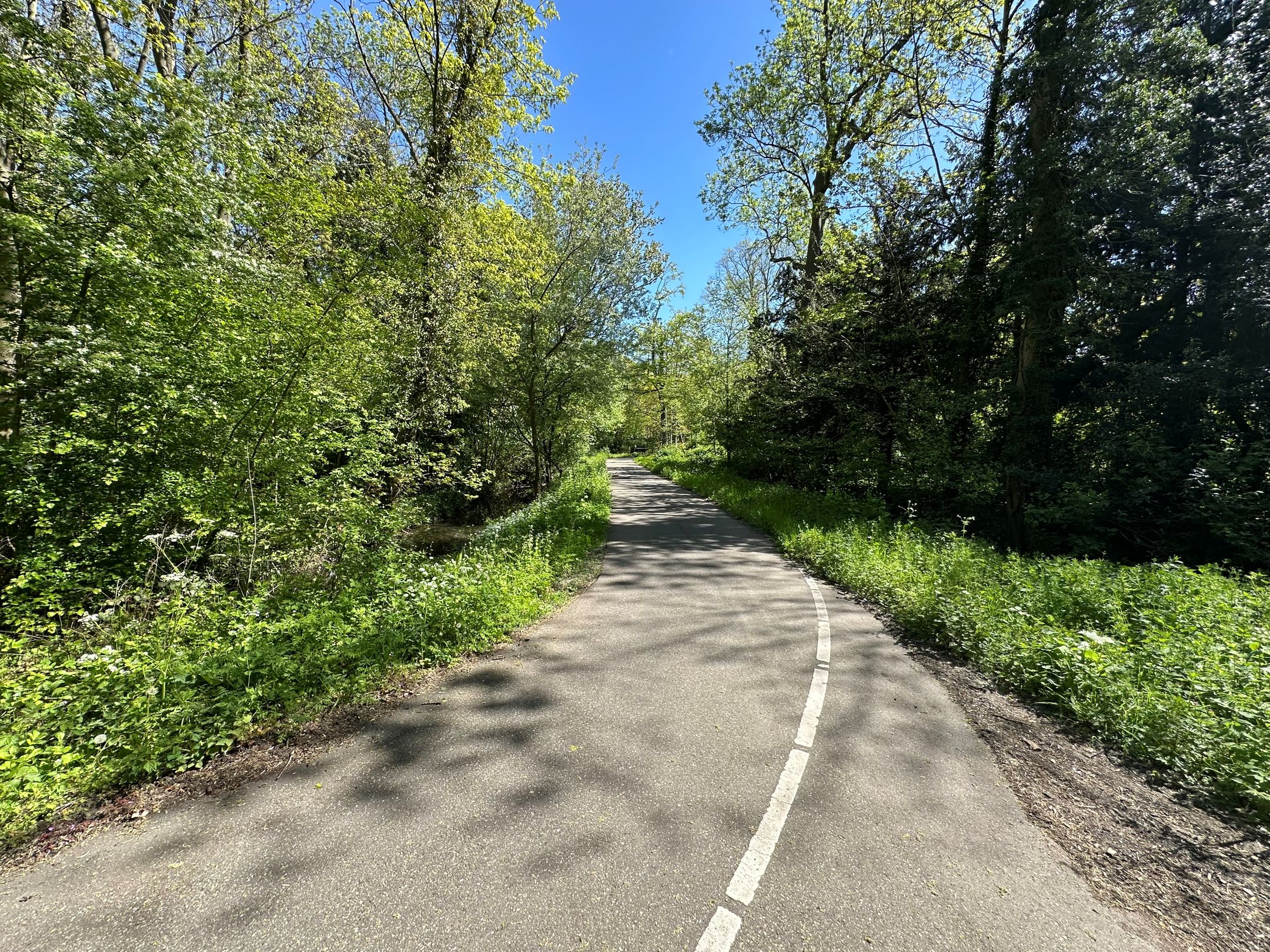 Foto 39 van Remmersteinstraat 149