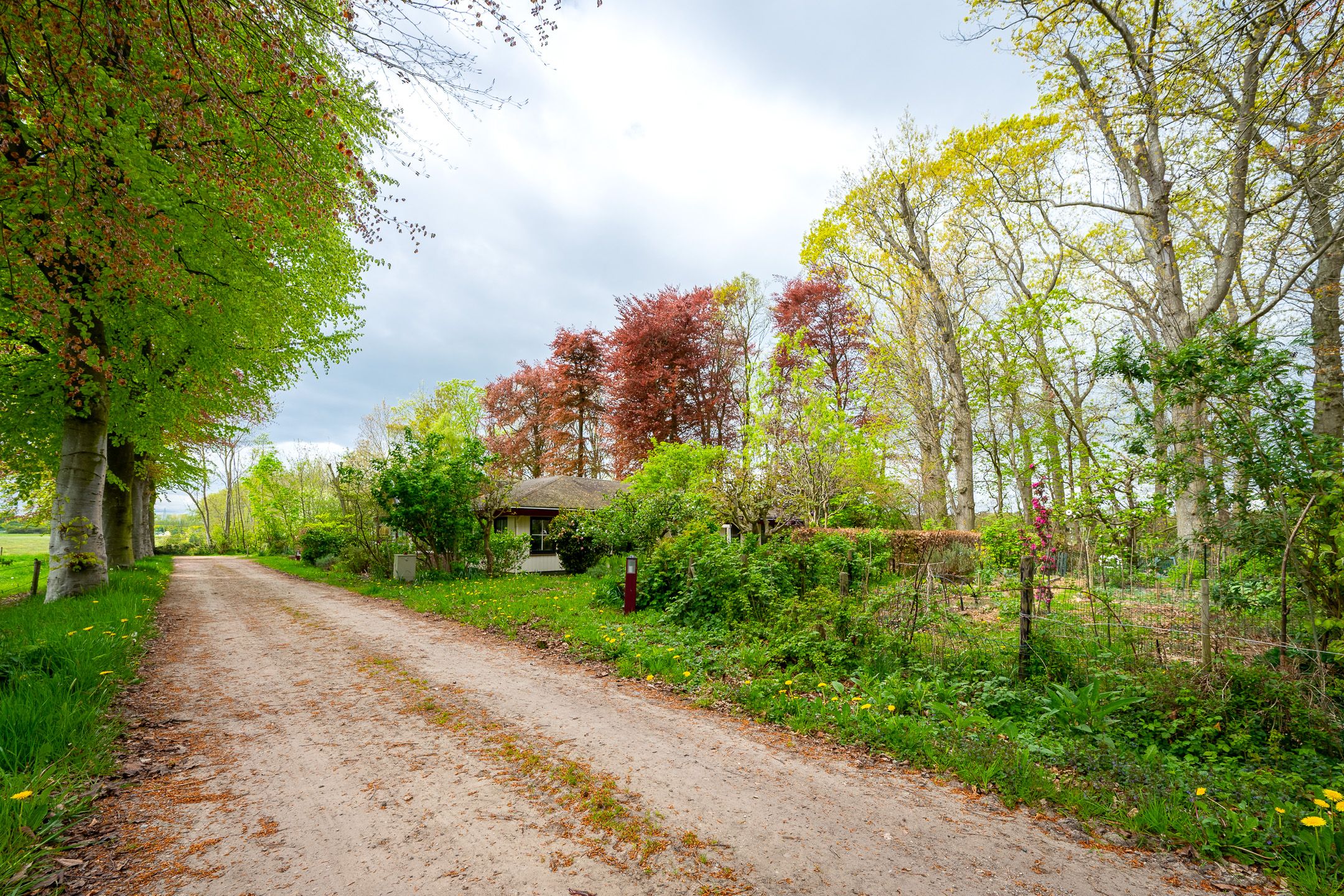 Foto 39 van Tiendweg 28