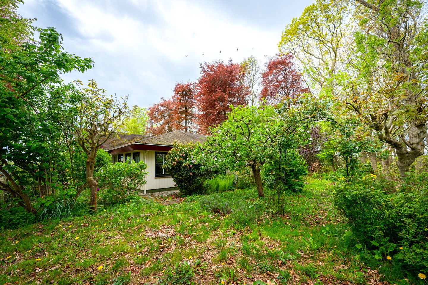 Foto 40 van Tiendweg 28