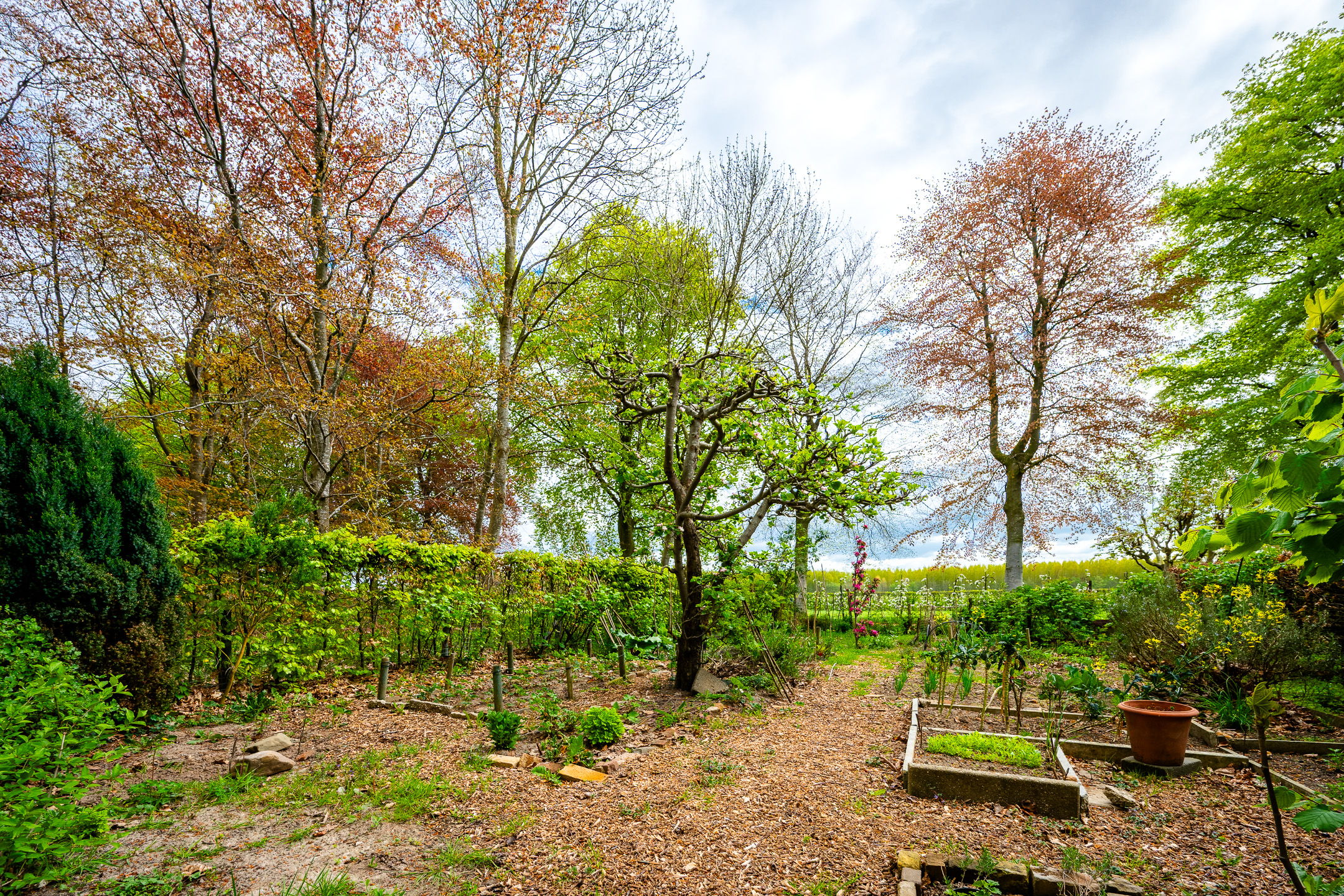 Foto 42 van Tiendweg 28