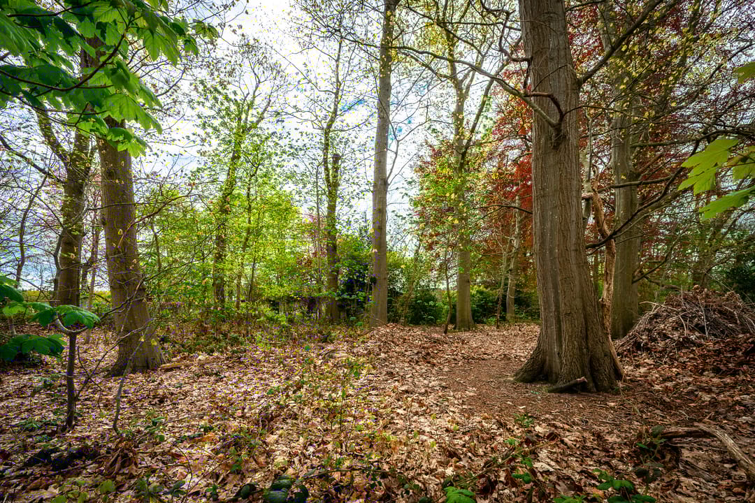 Foto 43 van Tiendweg 28