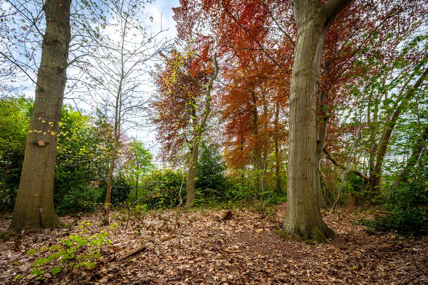 Foto 44 van Tiendweg 28