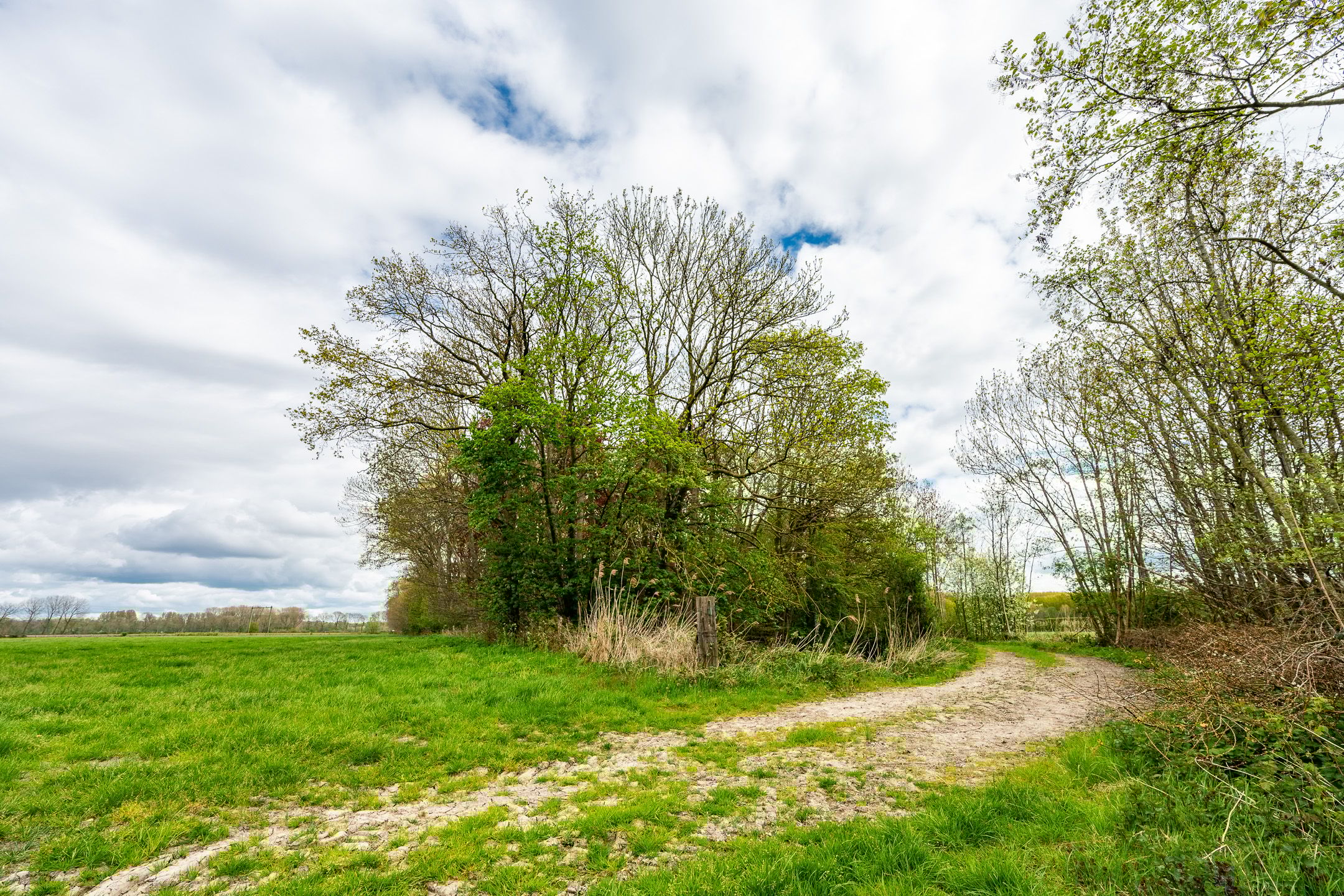 Foto 48 van Tiendweg 28