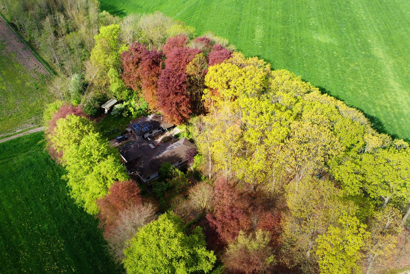 Foto 49 van Tiendweg 28