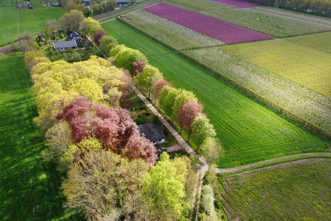 Foto 53 van Tiendweg 28