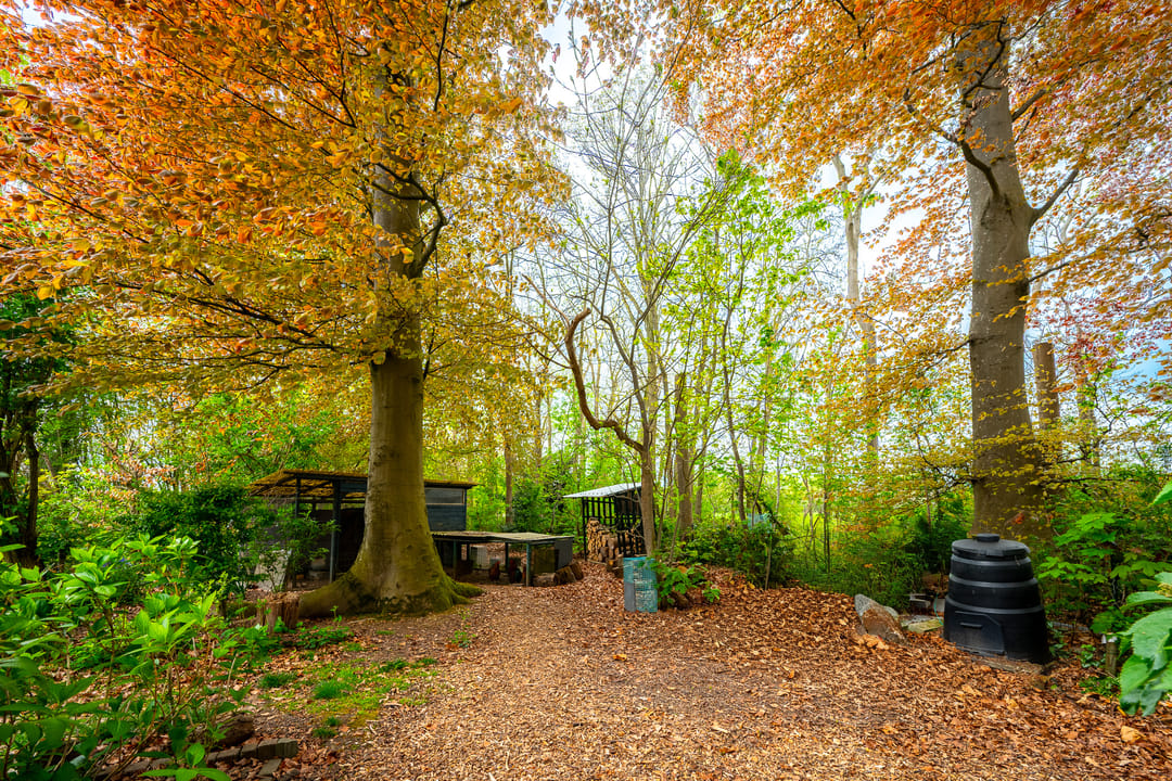 Foto 31 van Tiendweg 28