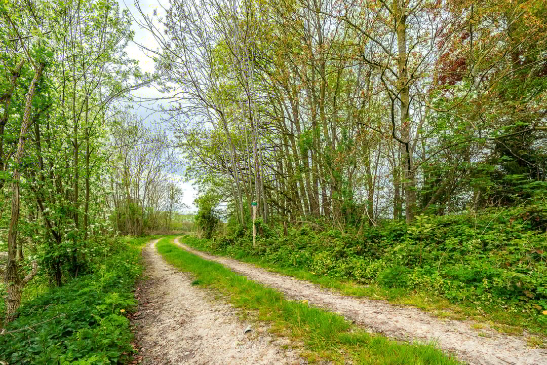 Foto 47 van Tiendweg 28