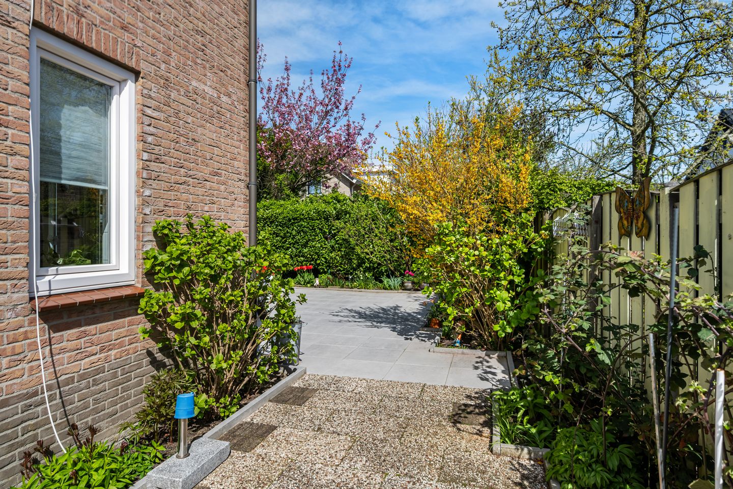 Photo 49 of Rietdekker 25