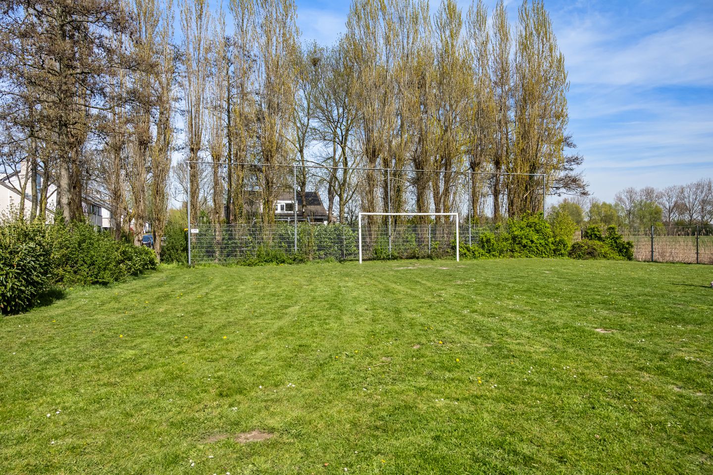 Photo 50 of Rietdekker 25
