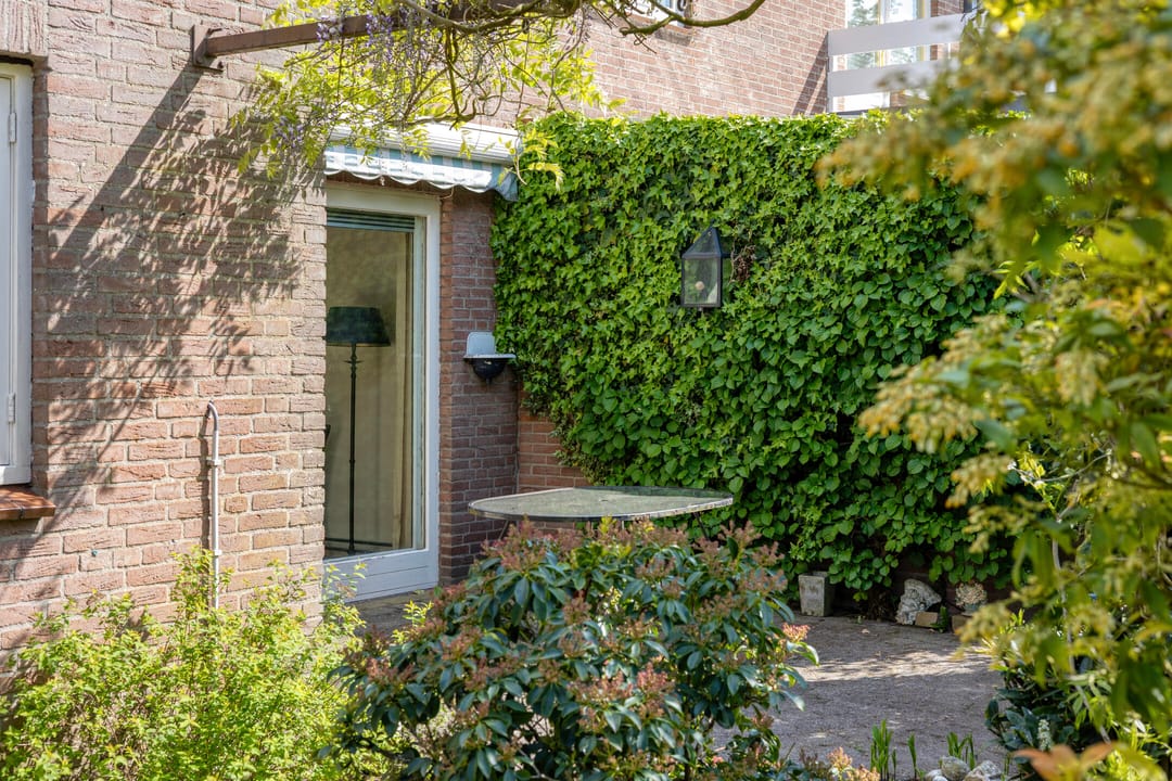 Foto 41 van Vogelbos 59