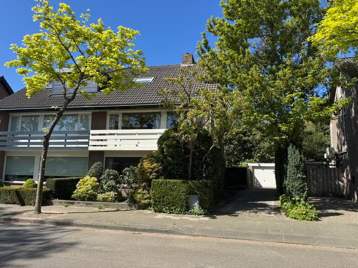 Foto 3 van Vogelbos 59